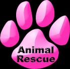 Animal Rescue, feed an animal!