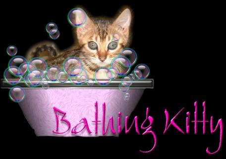 Bathing Kitty Title