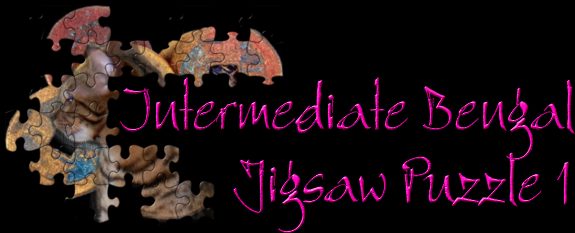 Intermediate Jigsaw 1 Title