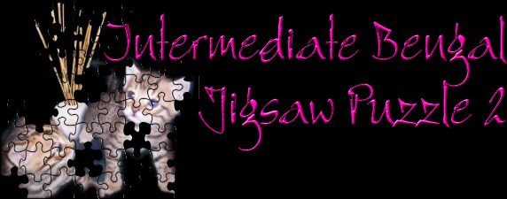 Intermediate Jigsaw 2 Title
