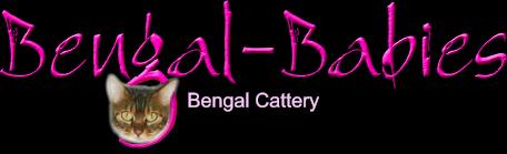 Small Bengal Babies logo
